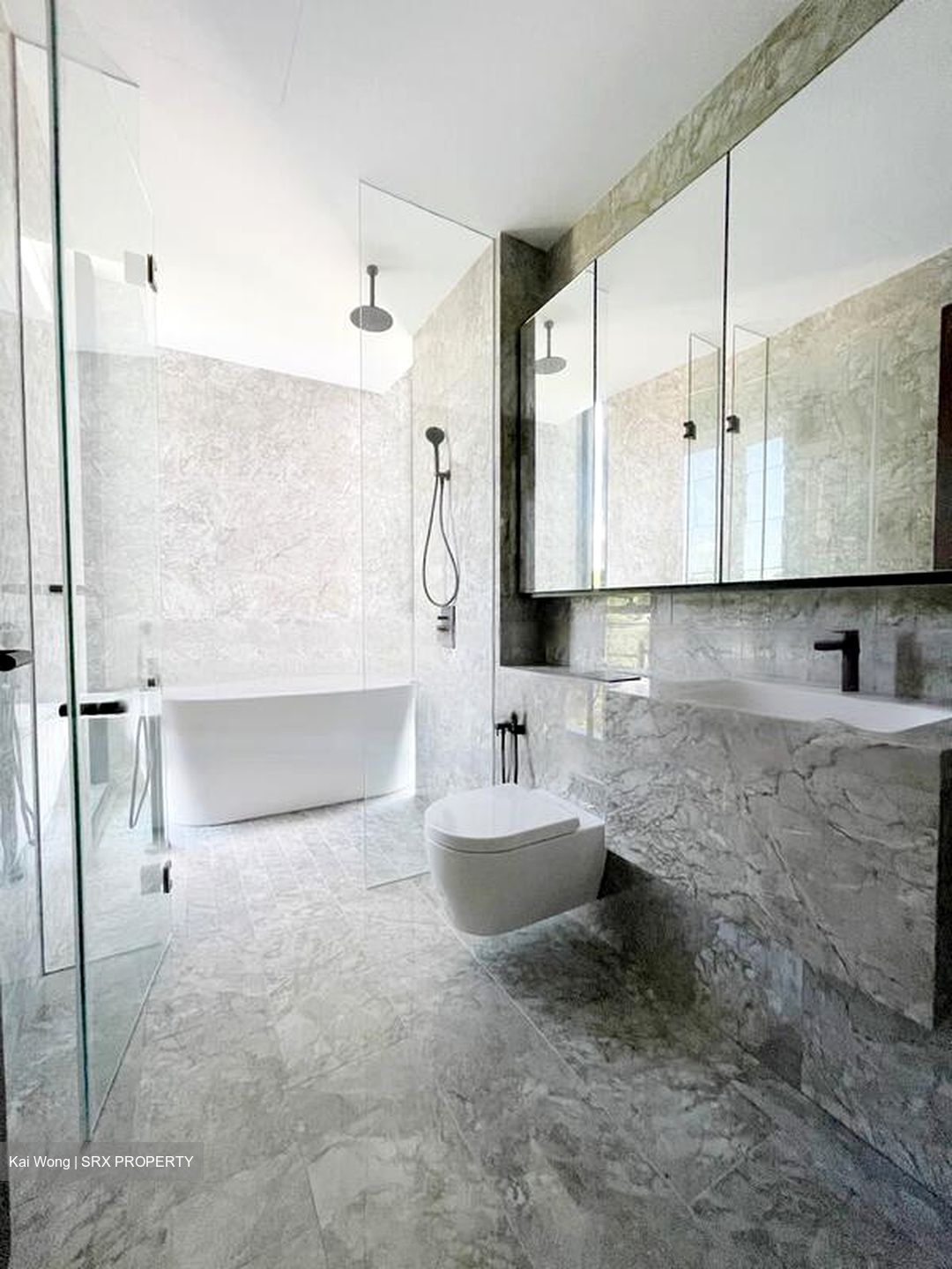 Jervois Privé (D10), Apartment #449495691